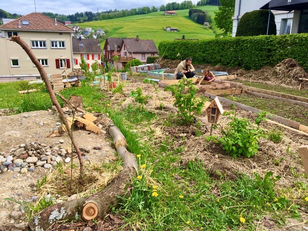 Strukturreiche Gartenfläche