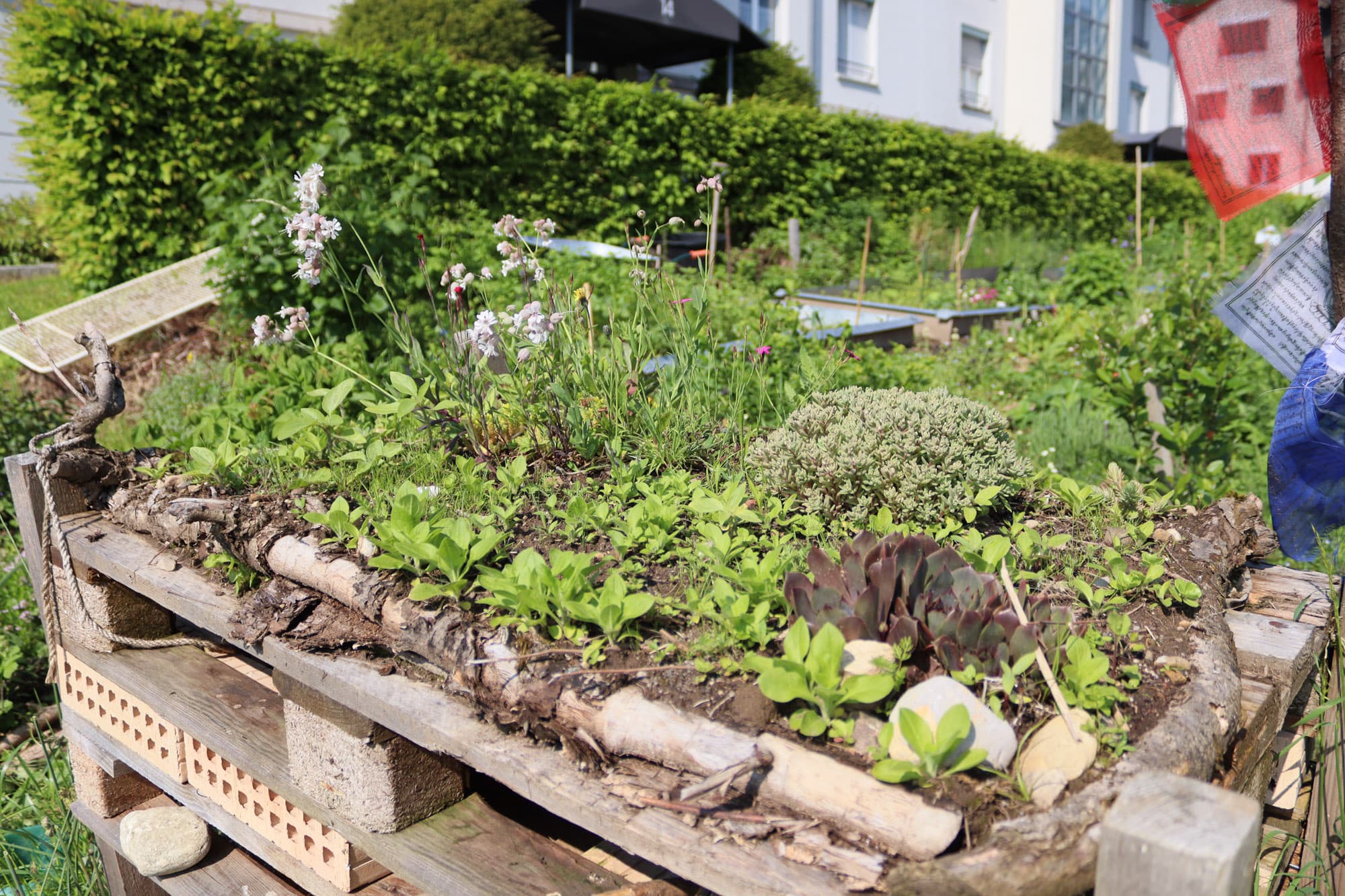 Hochbeet in einem Garten
