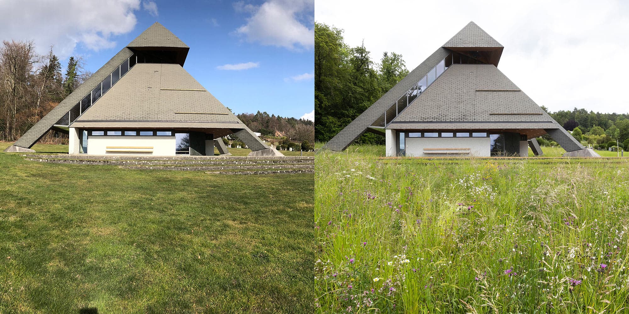 Ein Vorher/Nachher-Vergleich einer frisch gestalteten Blumenwiese rund um eine Kapelle.