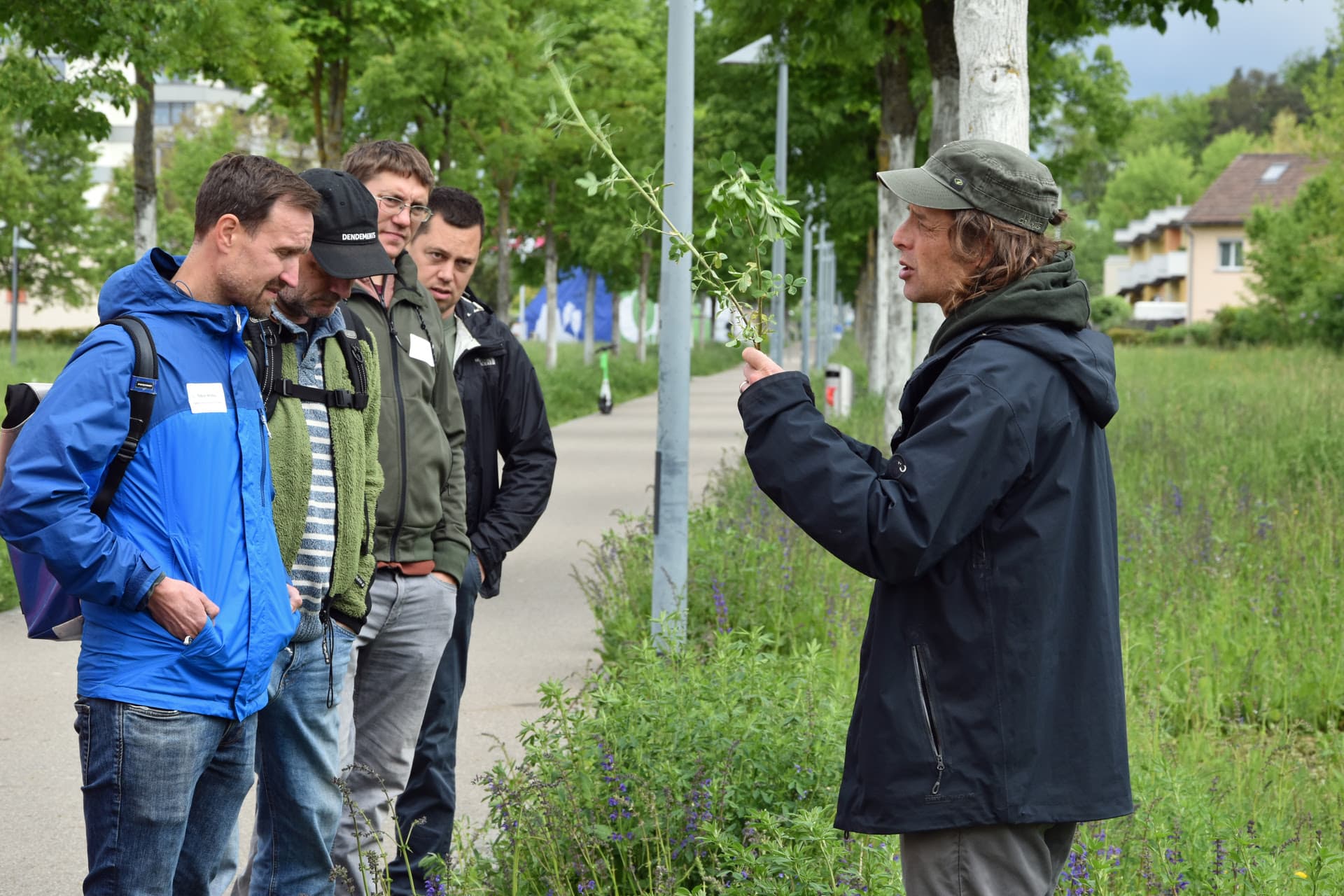 Fünf Männer betrachten eingehend den Ast einer einheimischen Pflanze.