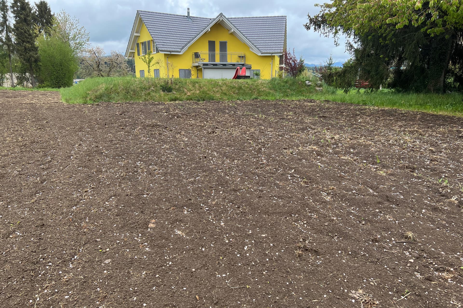 Fläche mit Erde, auf der früher wohl ein Rasen stand, die vorbereitet wurde für eine Blumenwiese, dahinter ein gelbes Haus im Hintergrund