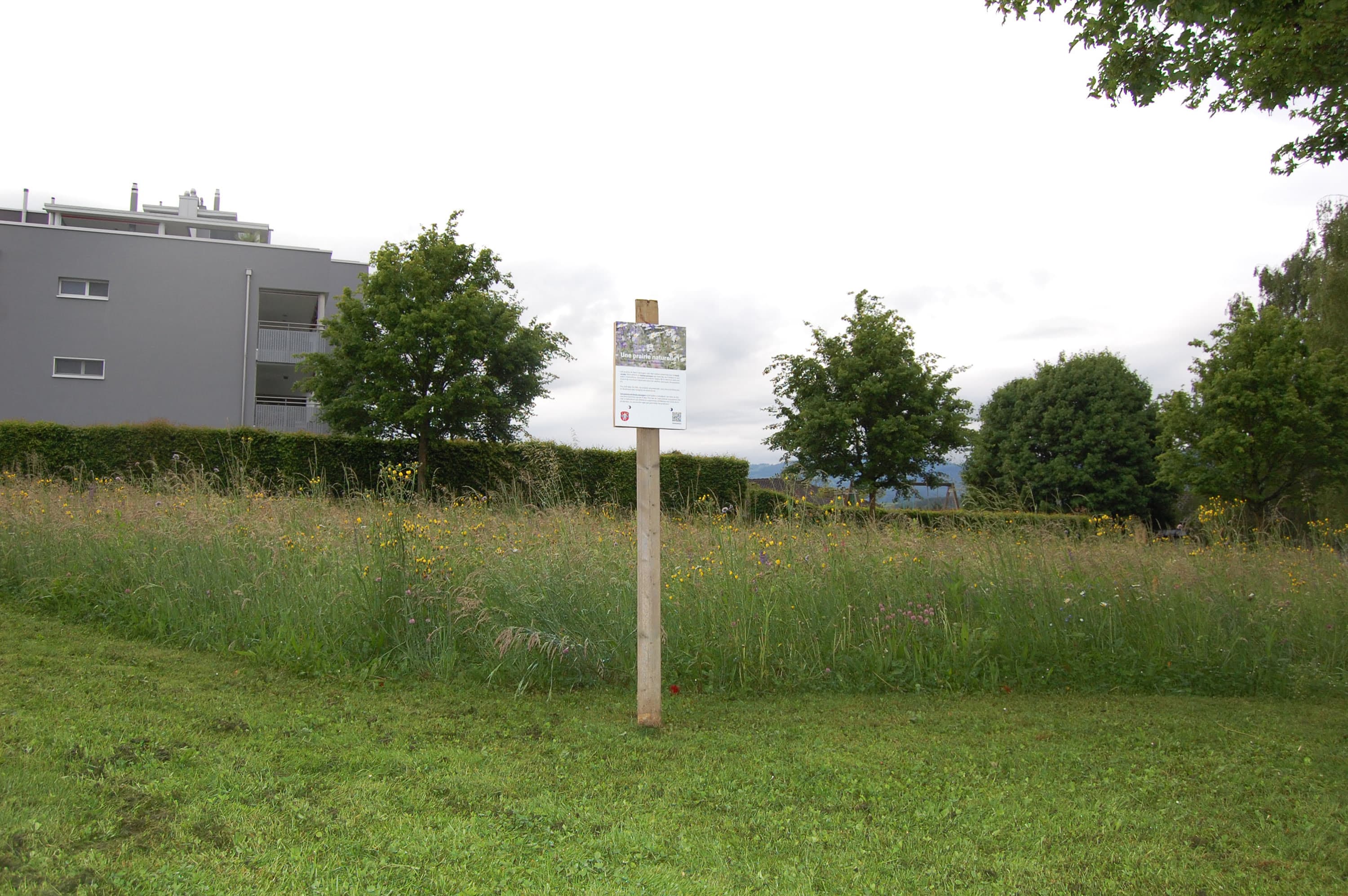 Blumenwiese mit Infoschild